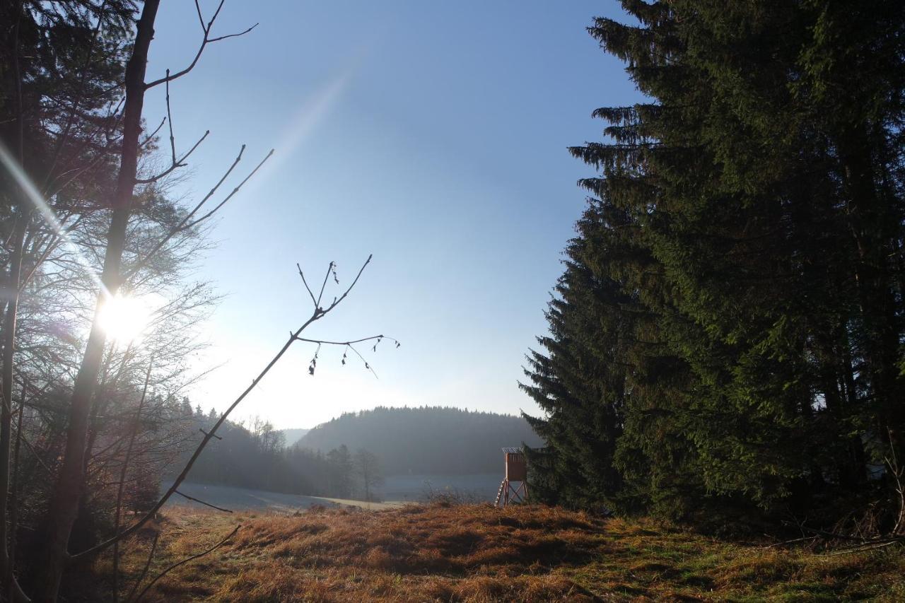 Alb Chalet Messstetten Kültér fotó