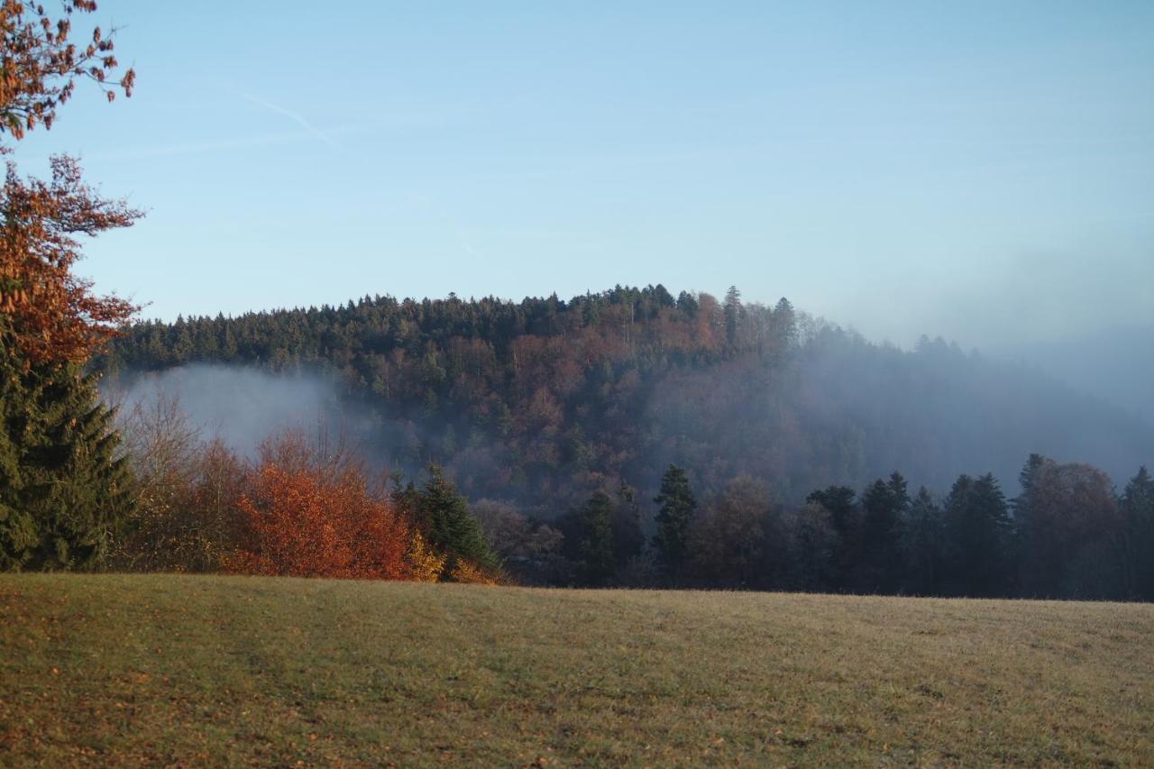 Alb Chalet Messstetten Kültér fotó