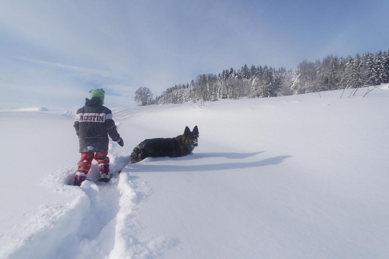 Alb Chalet Messstetten Kültér fotó