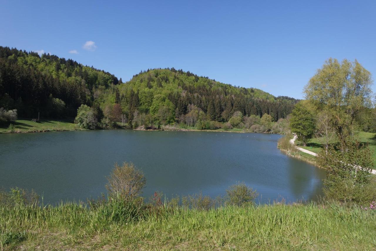 Alb Chalet Messstetten Kültér fotó